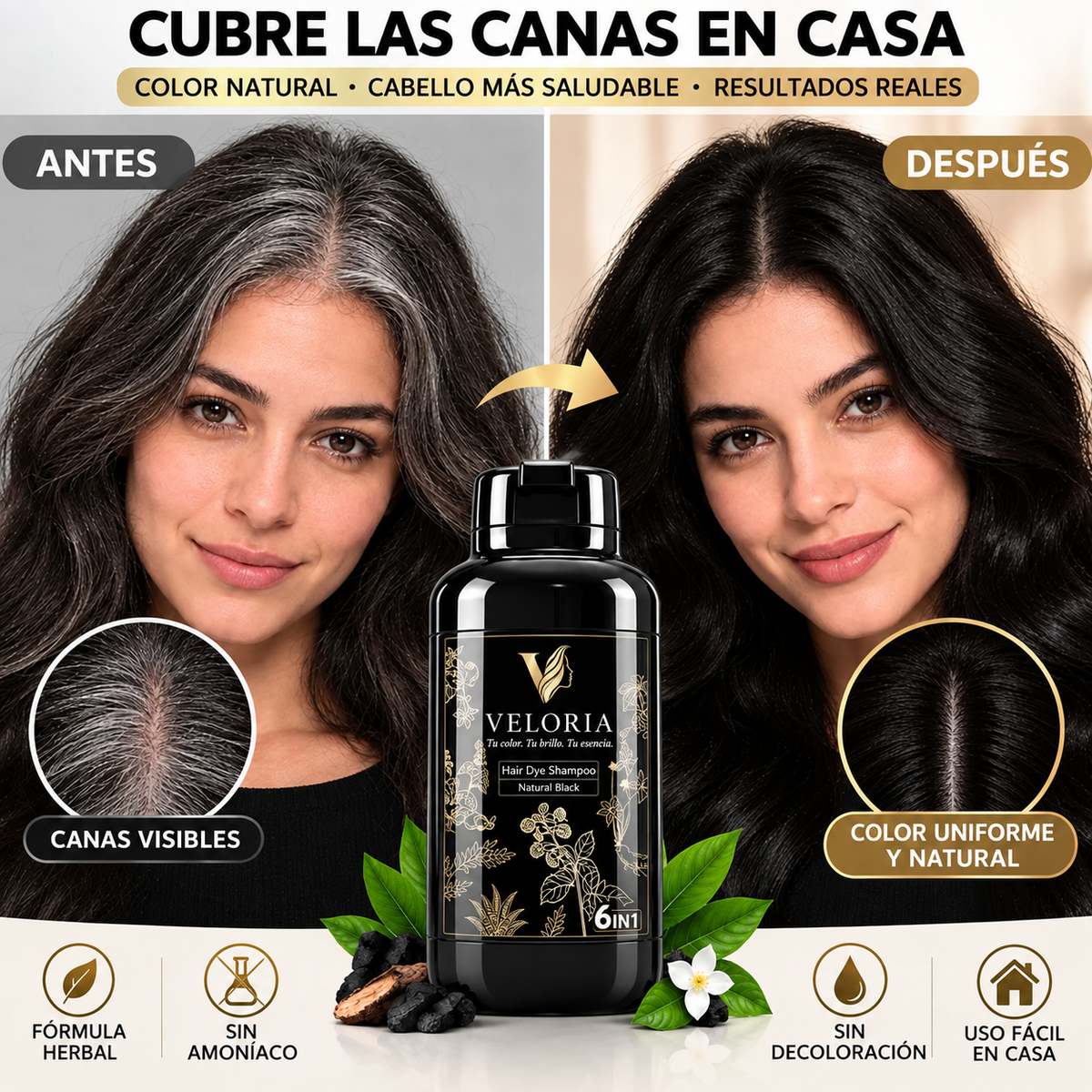 Veloria® 6 en 1